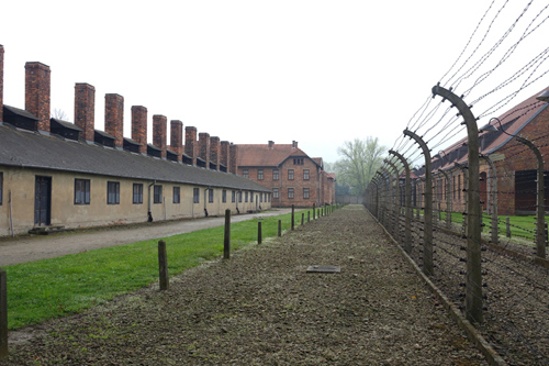 Auschwitz and Birkenau 